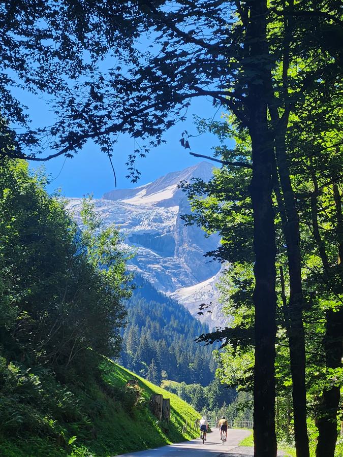 Two riders under the trees in the Reichenbach valley